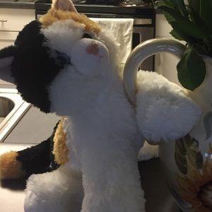 Meet your Posher, Anita